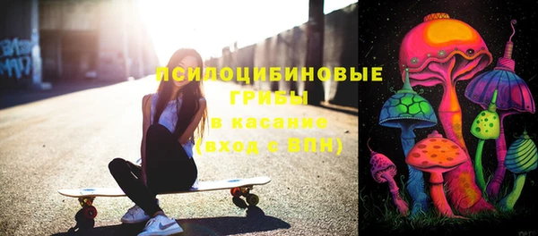 твердый Галич