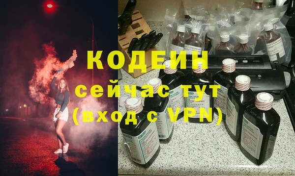 гидра Гатчина