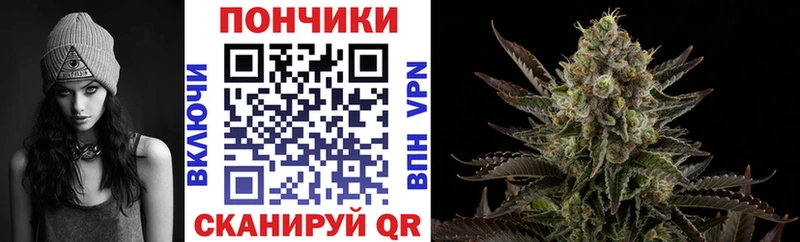 где найти   Буинск  Бошки марихуана индика 